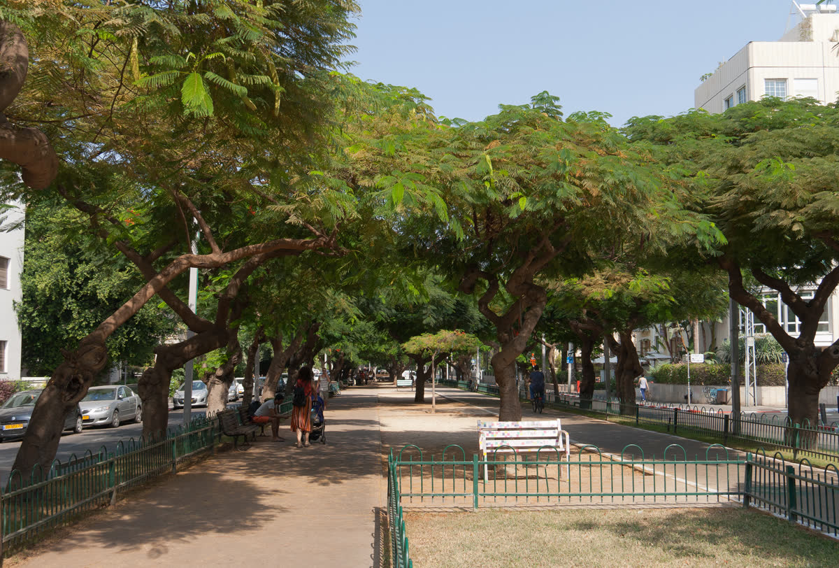 הצפון הישן